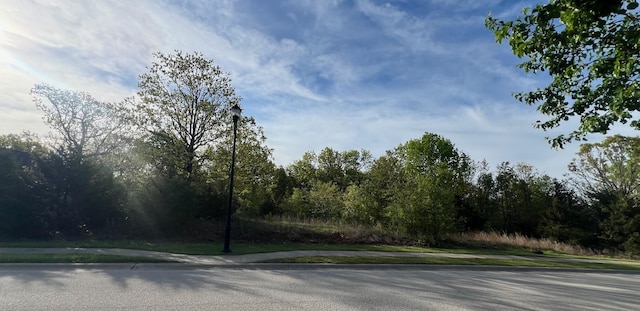 201 Forest Oak Dr, Hollister MO, 65672 land for sale