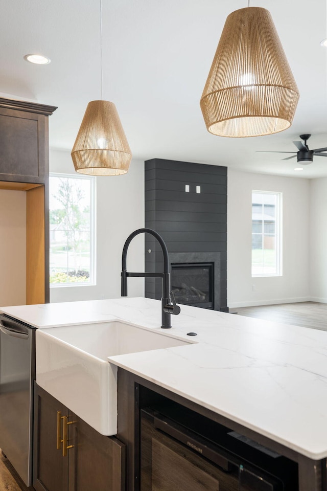 kitchen with dark brown cabinetry, dishwasher, and plenty of natural light