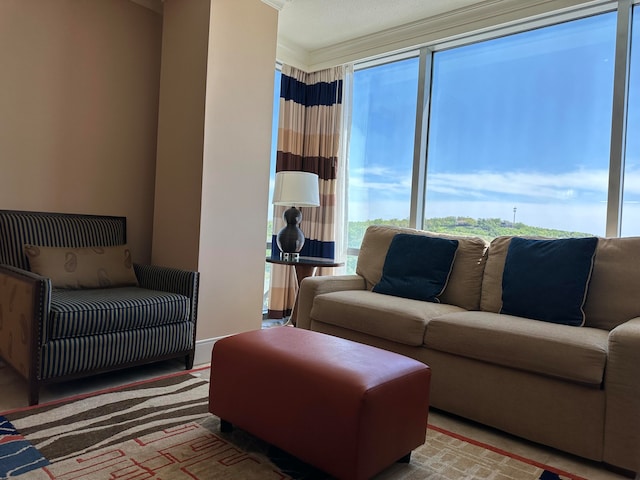 living room featuring crown molding