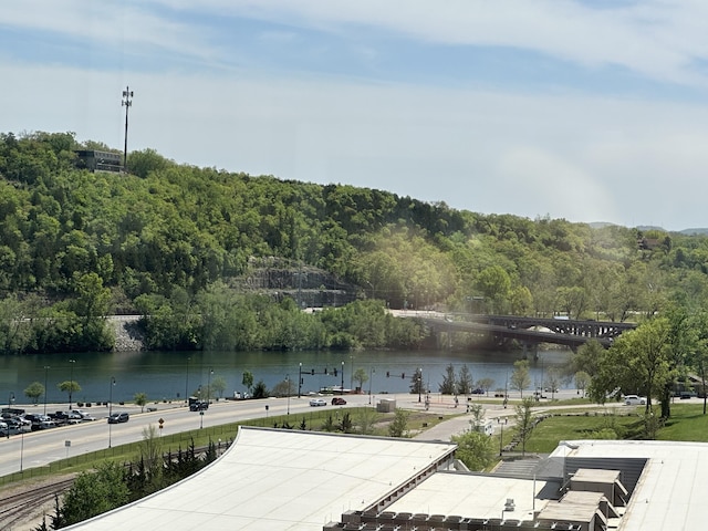 property view of water with a wooded view
