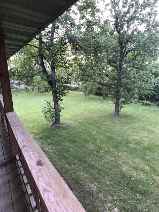 429 S Eagle Ave, Norwood, MO 65717 - view of yard