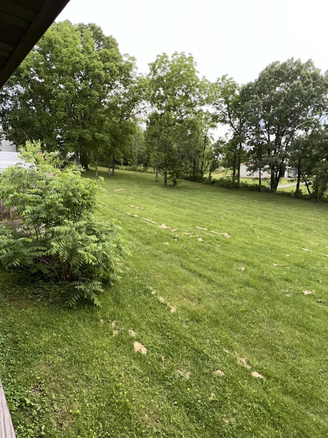 429 S Eagle Ave, Norwood, MO 65717 - view of yard