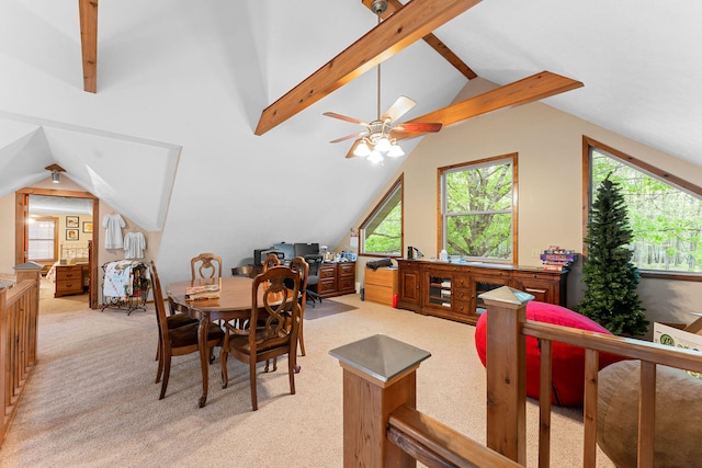 carpeted dining area with lofted ceiling with beams and ceiling fan