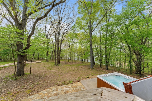 24265 Raintree Ln, Shell Knob, MO 65747 - view of yard with a hot tub