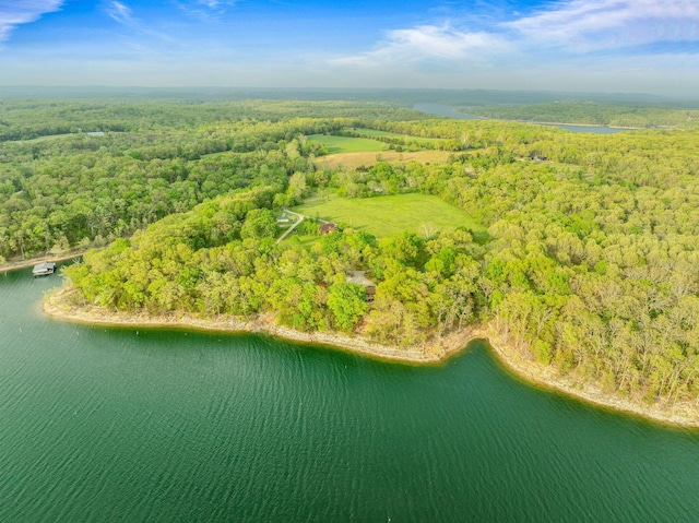 24265 Raintree Ln, Shell Knob, MO 65747 - drone / aerial view featuring a forest view and a water view