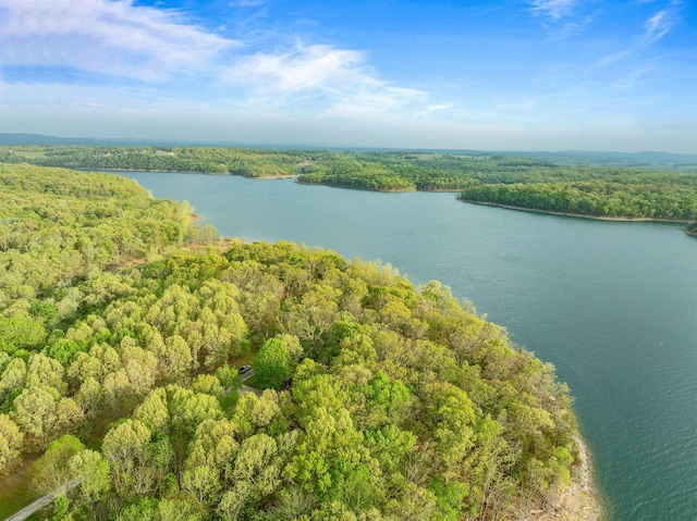 24265 Raintree Ln, Shell Knob, MO 65747 - drone / aerial view featuring a wooded view and a water view