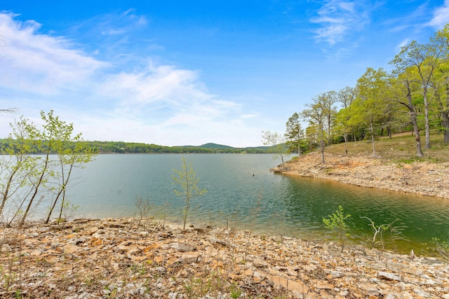 property view of water