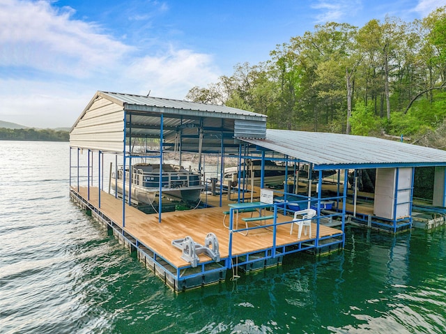 dock area with a water view