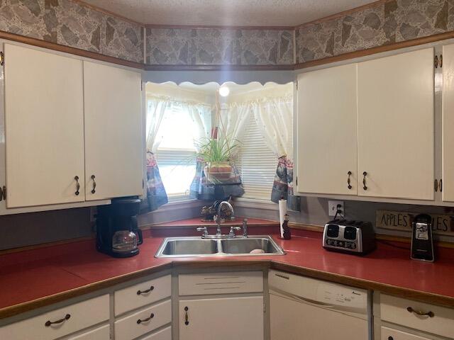 kitchen with white dishwasher, sink, a textured ceiling, and white cabinetry