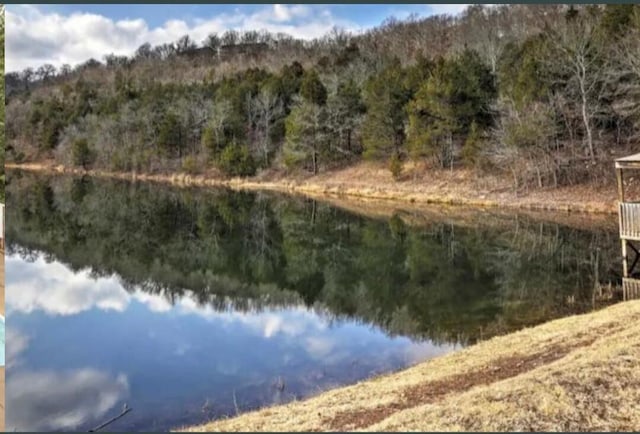 water view featuring a wooded view