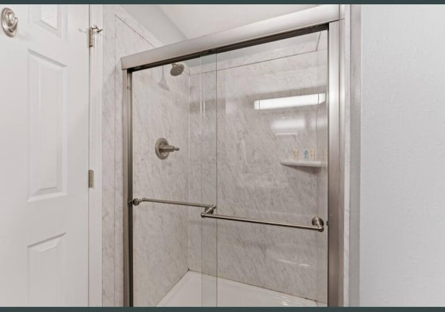 bathroom featuring a shower with door