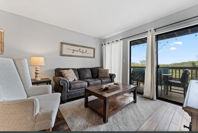 living room featuring light wood-style flooring and a wealth of natural light