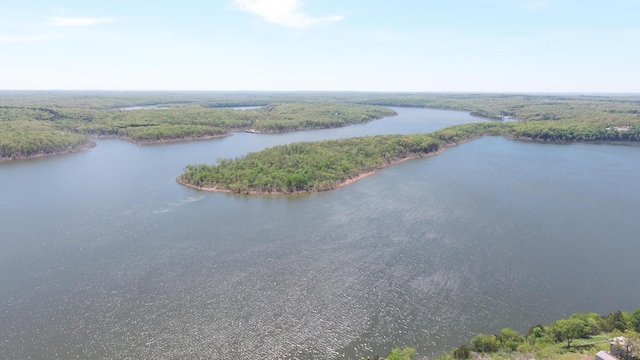 26815 Bailey Ln, Pittsburg, MO 65724 - photo 37