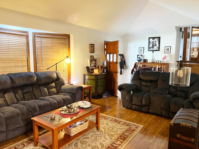 living room featuring lofted ceiling and wood-type flooring