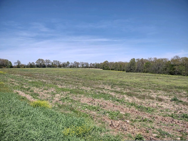 TBD Wiseman Rd Unit 8, Marshfield MO, 65706 land for sale