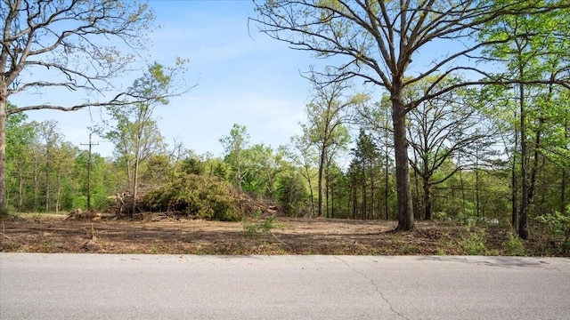 250 Vin Villa, Forsyth MO, 65653 land for sale