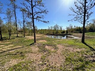 6858 County Road 669, Birch Tree, MO 65438 - photo 11