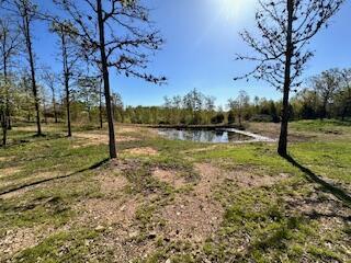 6858 County Road 669, Birch Tree, MO 65438 - photo 10