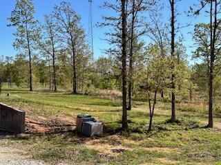 6858 County Road 669, Birch Tree, MO 65438 - photo 6