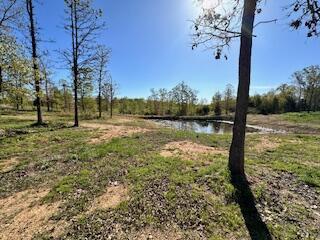 6858 County Road 669, Birch Tree, MO 65438 - photo 2