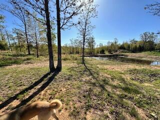 6858 County Road 669, Birch Tree, MO 65438 - photo 14