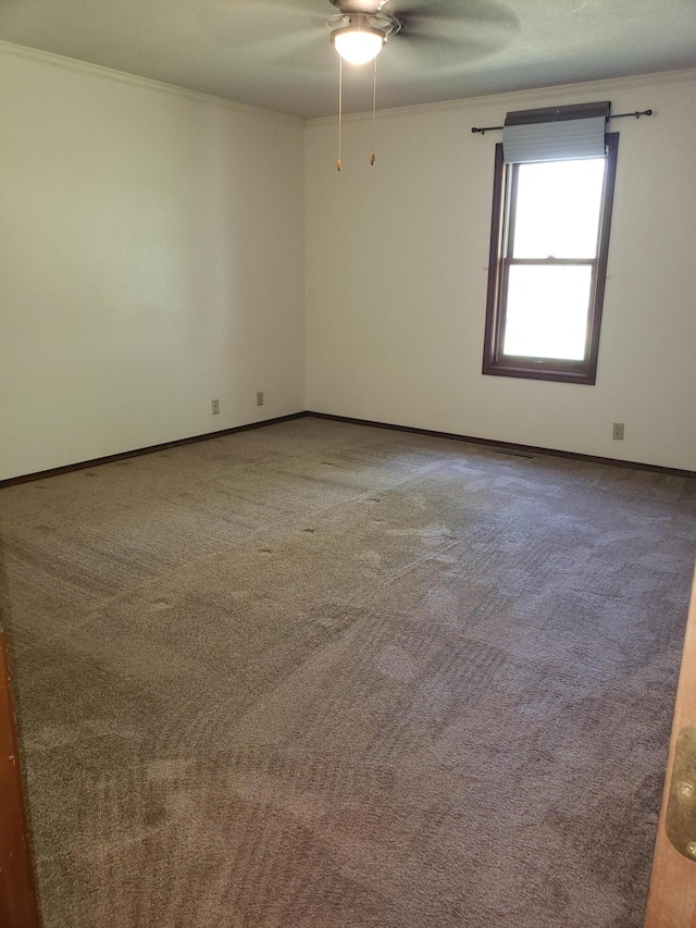 spare room featuring carpet flooring, ceiling fan, and crown molding