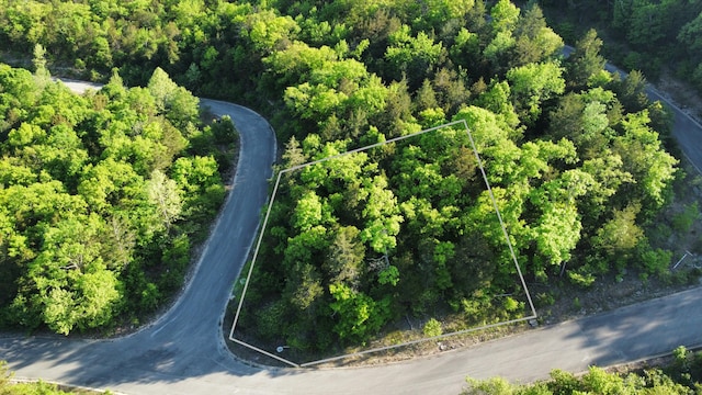 000 Syler Cir, Hollister MO, 65672 land for sale