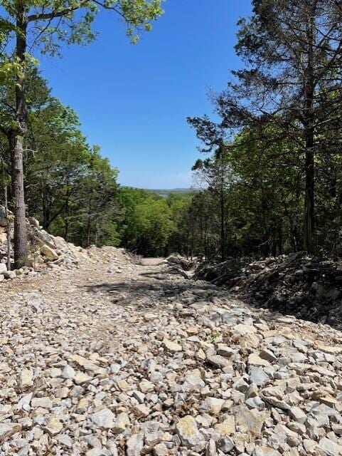 125 Ridgemont Cir, Branson West MO, 65737 land for sale