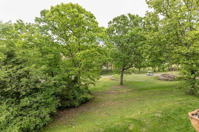 813 Holiday Rdg Unit 6, Branson, MO 65616 - view of yard