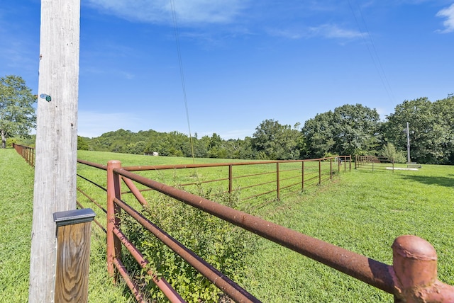 view of yard featuring a rural view