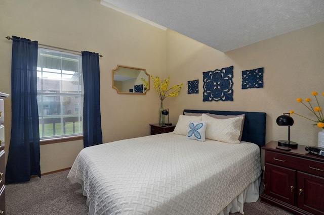 bedroom featuring carpet floors and a textured ceiling