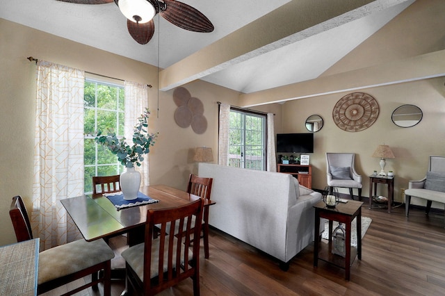 dining room featuring ceiling fan, plenty of natural light, and dark wood-type flooring