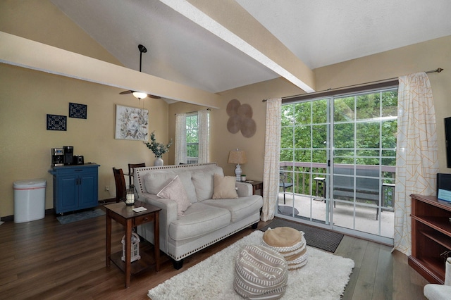 living room with a healthy amount of sunlight, ceiling fan, vaulted ceiling with beams, and dark hardwood / wood-style flooring