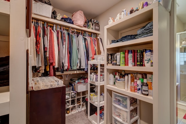 walk in closet with light colored carpet