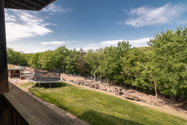 view of yard featuring a trampoline