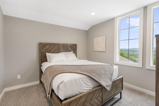 bedroom featuring lofted ceiling, carpet, and multiple windows