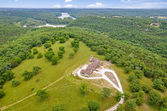395 Tracy St, Branson, MO 65616 - bird's eye view with a view of trees