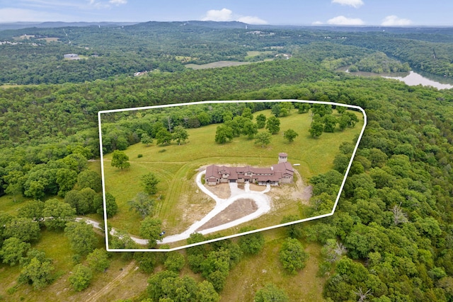 395 Tracy St, Branson, MO 65616 - aerial view with a view of trees