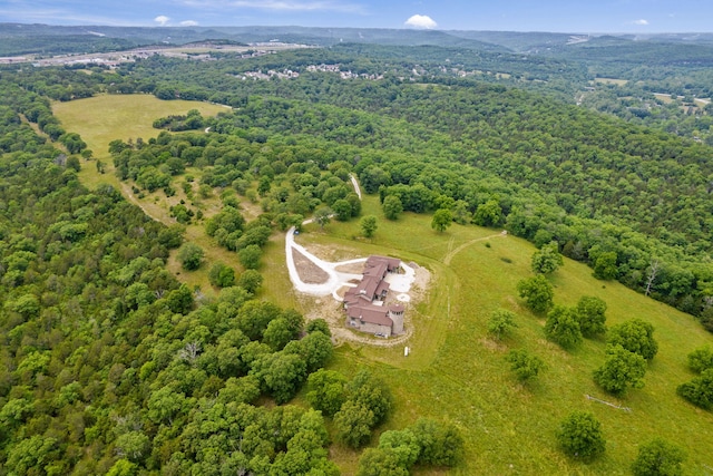395 Tracy St, Branson, MO 65616 - bird's eye view with a forest view