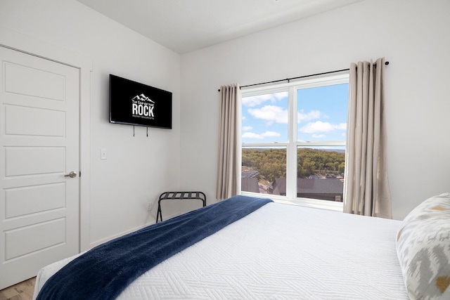 bedroom with hardwood / wood-style floors