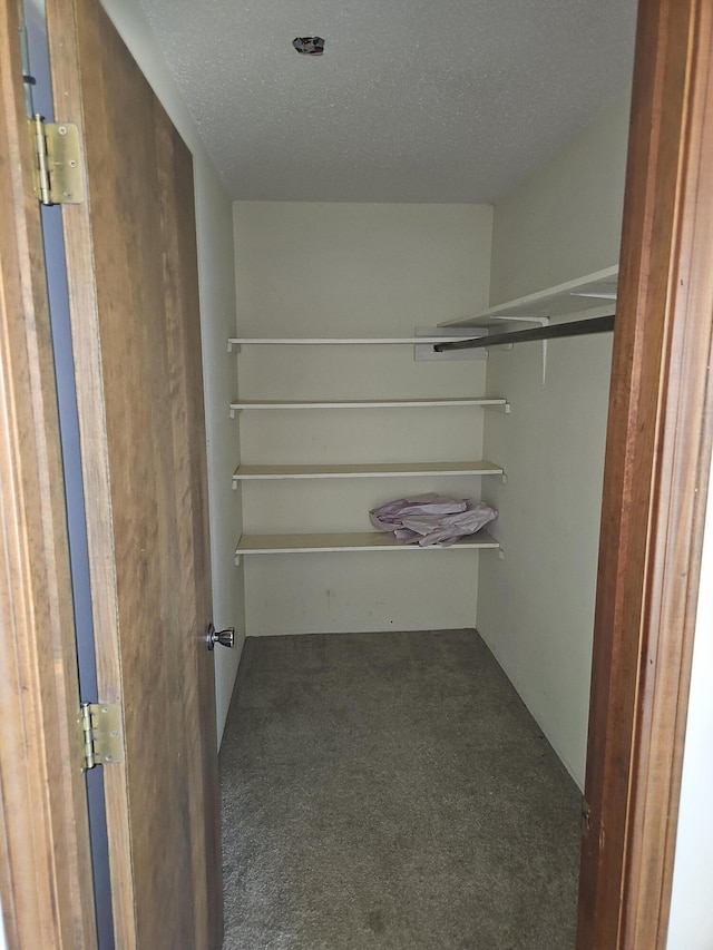 spacious closet featuring carpet floors
