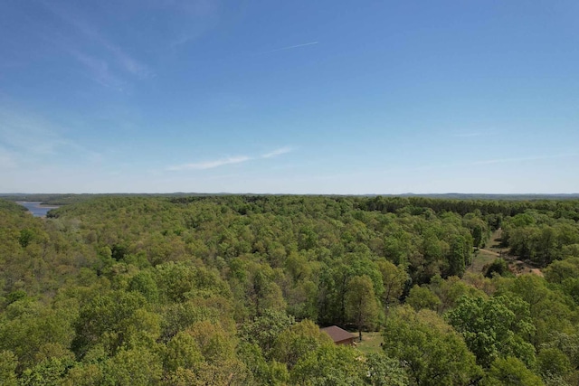 birds eye view of property with a forest view