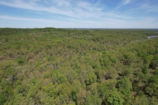 view of nature featuring a view of trees