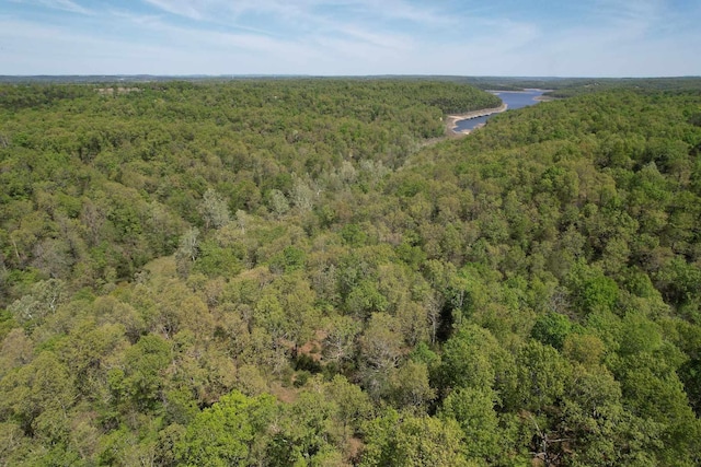 aerial view with a view of trees