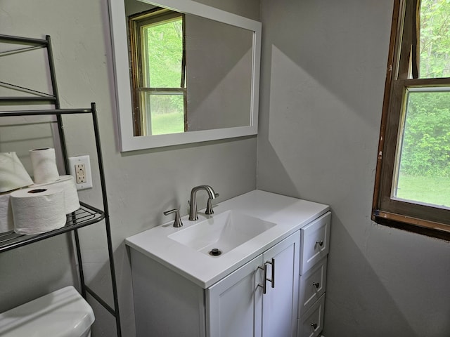 bathroom with toilet and vanity