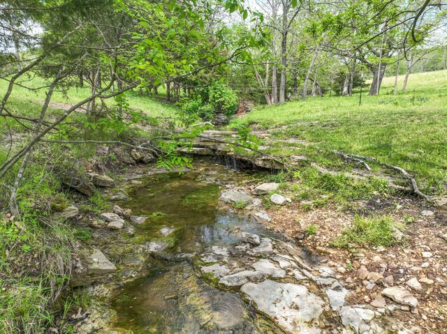 view of nature