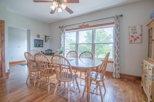 dining area with light hardwood / wood-style flooring and ceiling fan