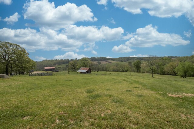 view of yard with a rural view