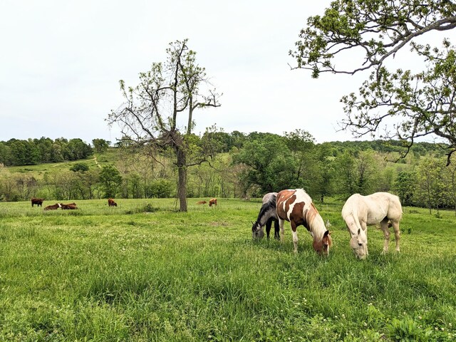 exterior space with a rural view