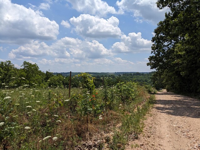 view of nature